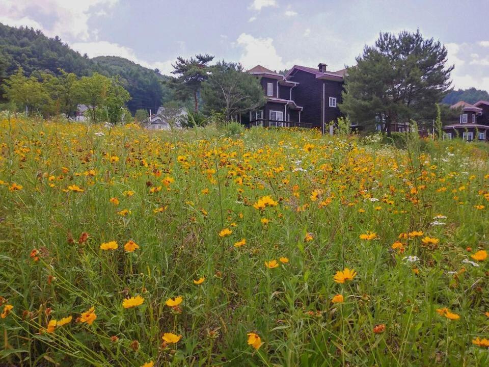 Hotel Morning Sound Pyeongchang